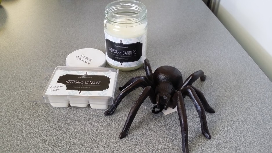 Eclectic Endeavours Pic 1 - Purchased some lovely scented candlesmelts and a metal spider for the garden