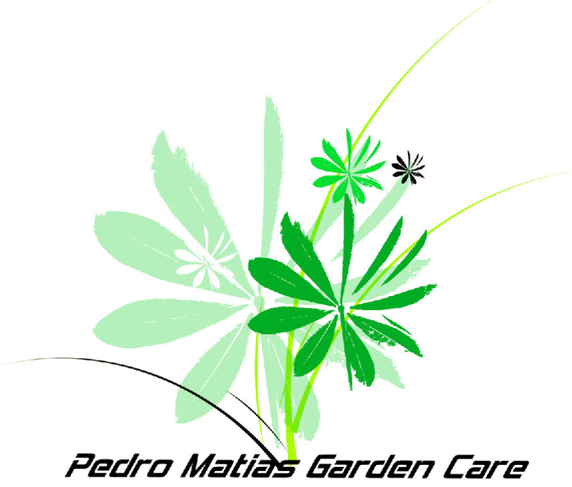 Pedro Matias Gardner Care Pic 1