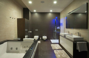 Bathrooms And Beyond Pic 2