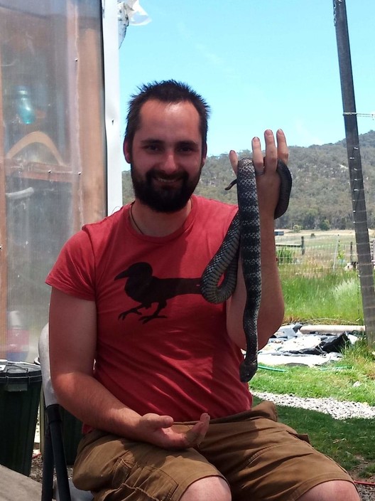 Hodgsons Snakes - Rescue and Removal - Snake Catcher Pic 1