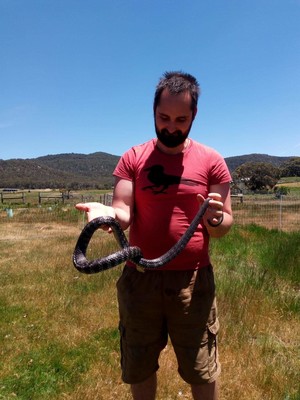 Hodgsons Snakes - Rescue and Removal - Snake Catcher Pic 2