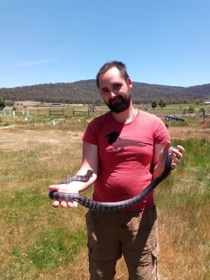 Hodgsons Snakes - Rescue and Removal - Snake Catcher Pic 5