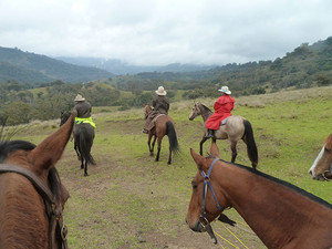 Castlereagh Cattle Drive Pic 5