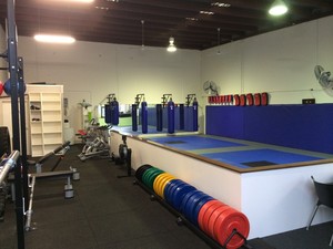 Limitless Mixed Martial Arts & Fitness Pic 2 - Gym and mat areas