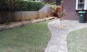 Greenhand Gardening and Tree Service Pic 5 - Landscaping North Sydney