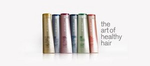 Hair Mekanics Pic 3 - Joico Hair Care Products