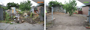 Froggi Group Pic 2 - BEFORE AFTER