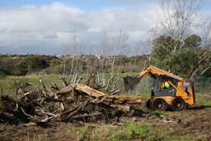 Froggi Group Pic 5 - BOB CAT SITE CLEAN