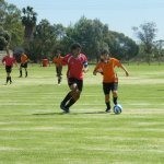 Nichols Point Soccer Club Pic 4