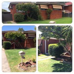 Aiden's Lawns and Gardens Pic 2 - Before top and after trim and tidy