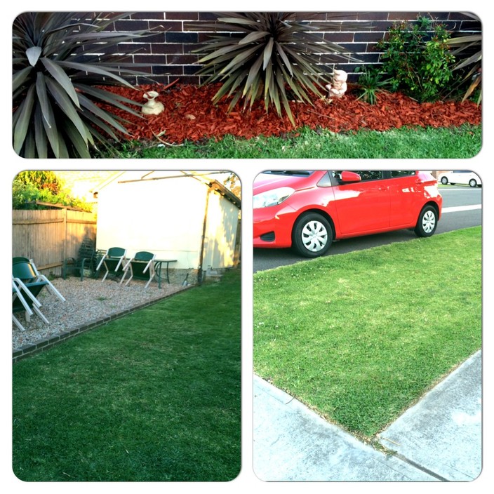 Aiden's Lawns and Gardens Pic 1 - Mulched mowed and trimmed