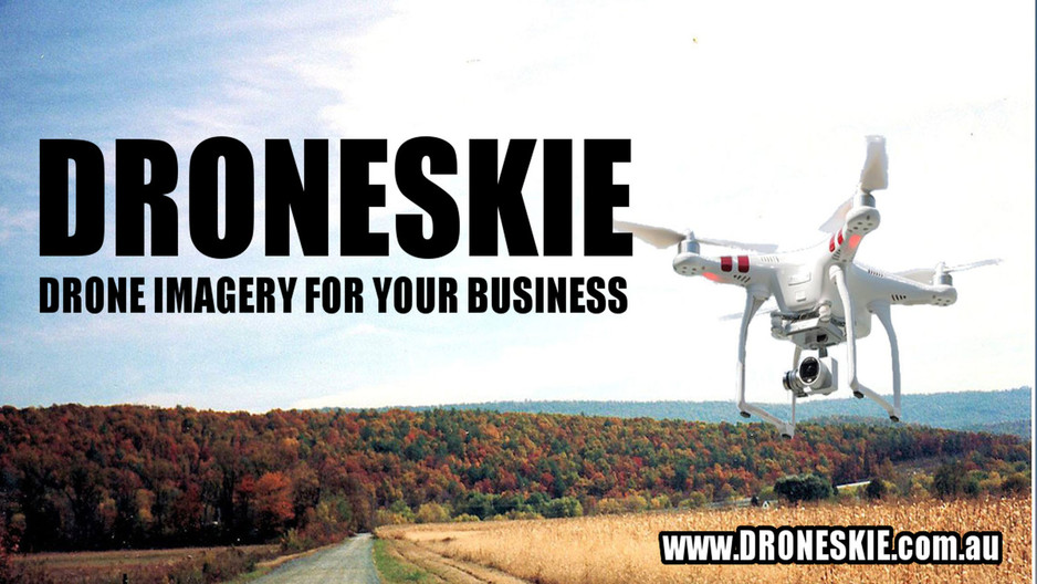 Droneskie Pic 1