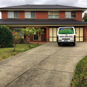 Cleaning Services Melbourne Pic 4 - Carpet steam cleaning