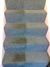 coastal carpet care Pic 2