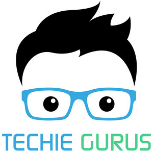 Techie Gurus Pic 3