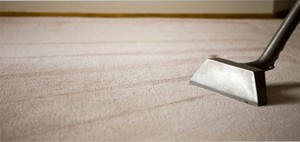 Sydney Wide Asap Carpet & Upholstery Cleaning Pic 5