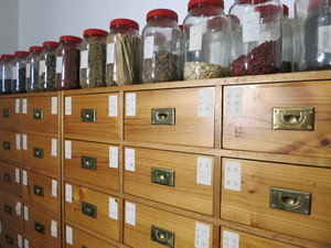 Jade Buddha Chinese Herbs Pic 4 - Traditional Chinese Medicine