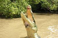 Darwin Fishing Office Pic 1