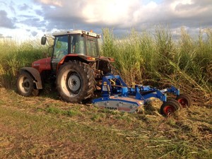 LP & DM Services Pic 2 - Slashing Tall Gamba Grass