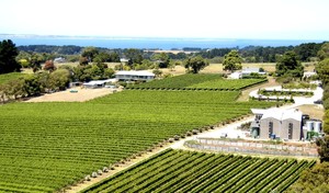 Paringa Estate Winery & Restaurant Pic 4