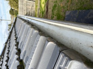 Coast To Coast Gutter Cleaning Pic 3