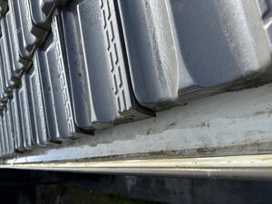 Coast To Coast Gutter Cleaning Pic 5