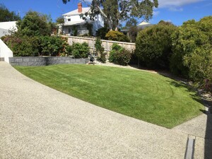 Action! Mowing and Gardening Services Pic 4 - Lawn installation and maintenance