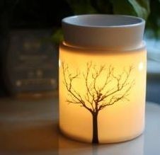 Scentsy Pic 1