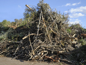 Greaterscapes Landscaping and Tree Services Pic 3 - Site clearing