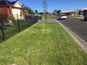 Precision Gardening Services Portarlington Pic 2