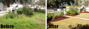 Precision Gardening Services Portarlington Pic 3