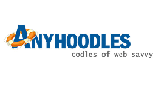 Anyhoodles Pic 1 - anyhoodles web consulting