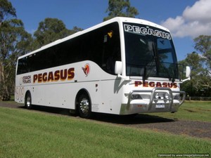 Pegasus Coach Tours Pic 2 - CoachBus Charter