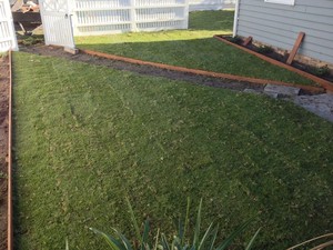 Bladerunner Property Services Pic 3 - Landscaping New lawn