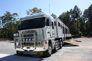 Melbourne Horse Transport Pic 2