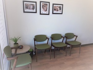 Penguin Podiatry Pic 3 - Our comfy waiting room