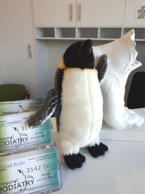 Penguin Podiatry Pic 5 - How many Penguins can you find in our clinic