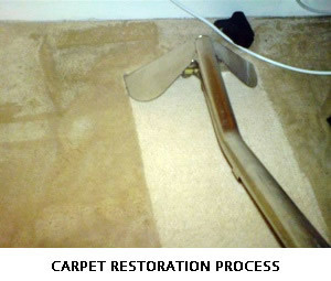 Always Clean Australia Pic 3 - Our carpet cleaning will lift the pile and bring life back into your carpet