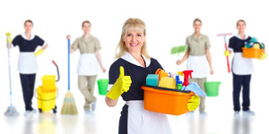 Mel's Help Cleaning service Pic 4