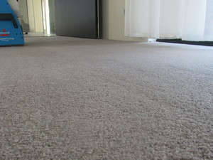 N & H PTY LTD Pic 5 - Steam carpet cleaning