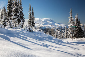 Ski Travel Company Pic 2 - Whistler