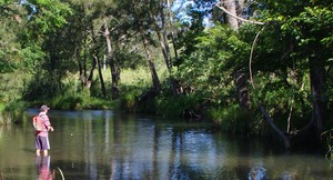 Crebra Farmhouse Pic 4 - Fishing on the Albert River