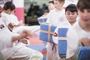 Sendai Karate Club Pic 3