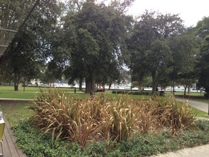 Rushcutters Bay Tennis & Kiosk Pic 3 - The view