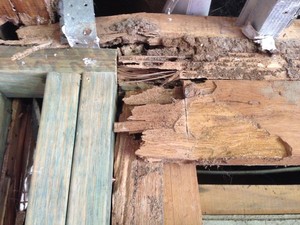 All Termite & Pest Control Pic 5 - termite damage repair fail