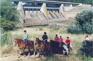 Forest Park Riding & Equitation School Pic 3 - Relaxing trail rides