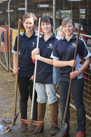 Forest Park Riding & Equitation School Pic 4 - Wonderful workers