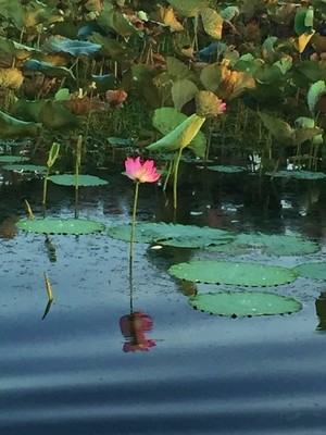 Kakadu National Park Pic 2