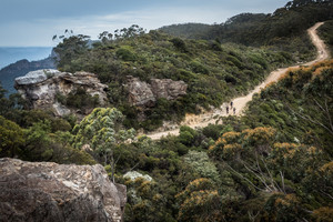 Blue Mountains Biking Adventures Pic 3