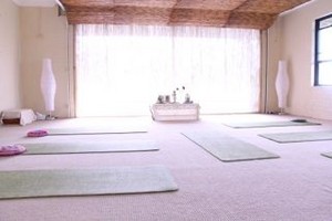 Yoga White Lotus - Sivananda Tradition Pic 2 - Natural light filtered through bamboo for a pleasant yoga experience